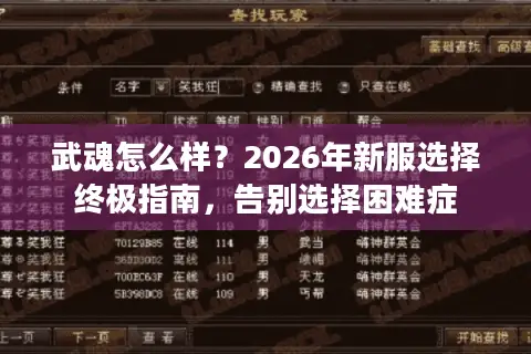 武魂怎么样?2026年新服选择终极指南,告别选择困难症 武魂怎么样?2026年新服选择终极指南,告别选择困难症