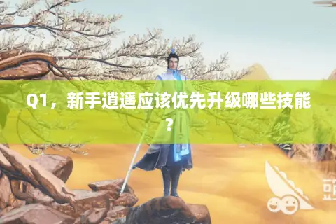 Q1，新手逍遥应该优先升级哪些技能？