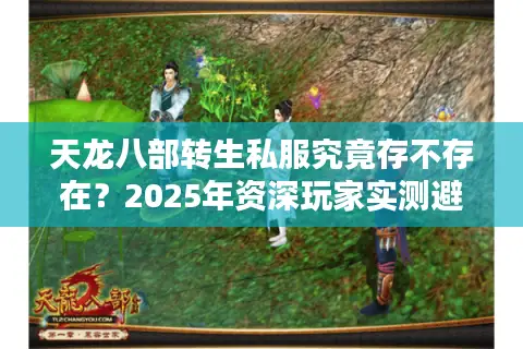 天龙八部转生私服究竟存不存在？2025年资深玩家实测避坑指南
