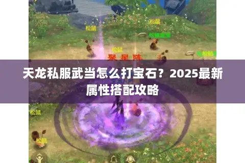 天龙私服武当怎么打宝石?2025最新属性搭配攻略 天龙私服武当怎么打宝石?2025最新属性搭配攻略