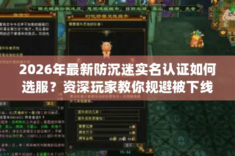 2026年最新防沉迷实名认证如何选服？资深玩家教你规避被下线风险