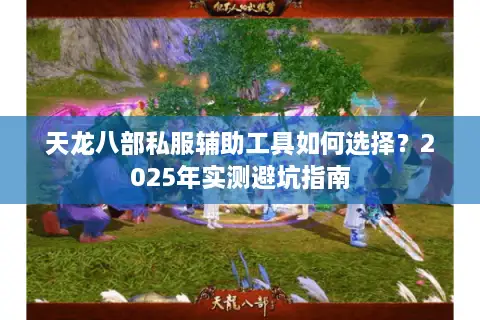 天龙八部私服辅助工具如何选择？2025年实测避坑指南