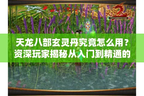 天龙八部玄灵丹究竟怎么用？资深玩家揭秘从入门到精通的资源掌控术