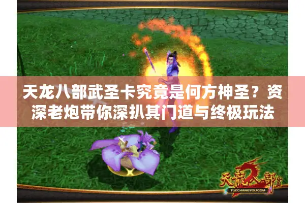 天龙八部武圣卡究竟是何方神圣？资深老炮带你深扒其门道与终极玩法