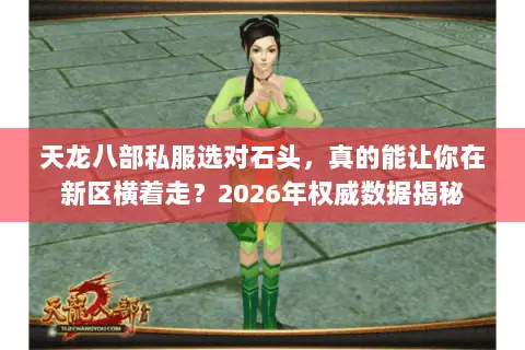 天龙八部私服选对石头，真的能让你在新区横着走？2026年权威数据揭秘