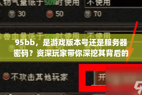 95bb，是游戏版本号还是服务器密码？资深玩家带你深挖其背后的门道