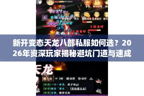 新开变态天龙八部私服如何选？2026年资深玩家揭秘避坑门道与速成捷径