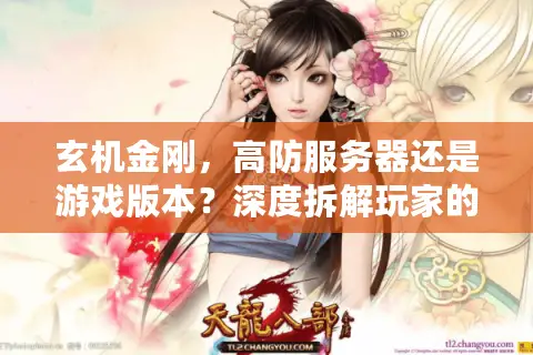 玄机金刚，高防服务器还是游戏版本？深度拆解玩家的终极选择迷思