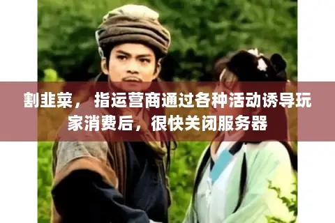 割韭菜， 指运营商通过各种活动诱导玩家消费后，很快关闭服务器