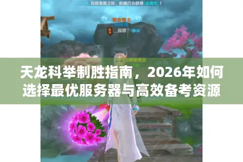 天龙科举制胜指南，2026年如何选择最优服务器与高效备考资源？