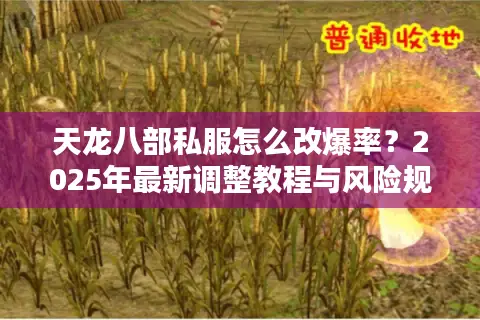 天龙八部私服怎么改爆率?2025年最新调整教程与风险规避 天龙八部私服怎么改爆率?2025年最新调整教程与风险规避