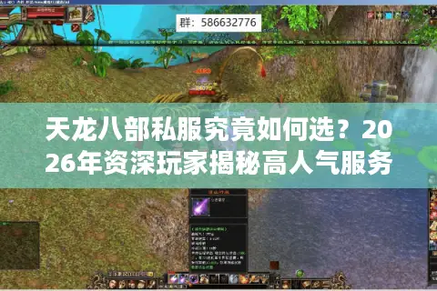 天龙八部私服究竟如何选？2026年资深玩家揭秘高人气服务器避坑法则