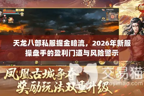 天龙八部私服掘金暗流，2026年新服操盘手的盈利门道与风险警示