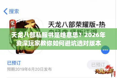 天龙八部私服书是啥意思？2026年资深玩家教你如何避坑选对版本
