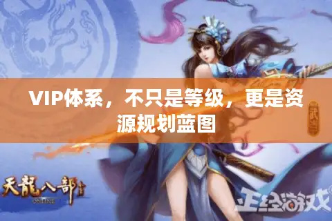 VIP体系，不只是等级，更是资源规划蓝图