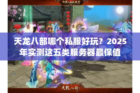 天龙八部哪个私服好玩？2025年实测这五类服务器最保值