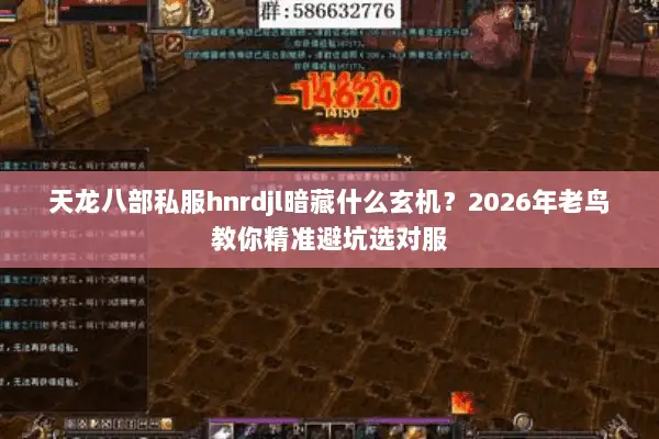 天龙八部私服hnrdjl暗藏什么玄机？2026年老鸟教你精准避坑选对服