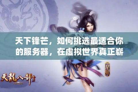 天下锋芒，如何挑选最适合你的服务器，在虚拟世界真正崭露头角？