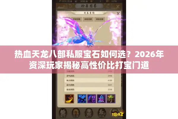 热血天龙八部私服宝石如何选？2026年资深玩家揭秘高性价比打宝门道