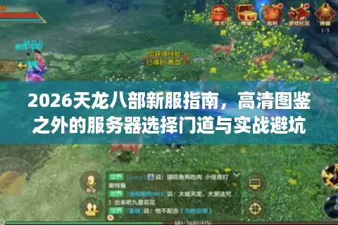 2026天龙八部新服指南，高清图鉴之外的服务器选择门道与实战避坑