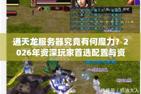通天龙服务器究竟有何魔力？2026年资深玩家首选配置与资源门道全解析