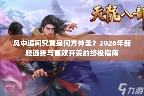 风中追风究竟是何方神圣？2026年新服选择与高效开荒的终极指南