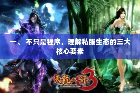 一、 不只是程序，理解私服生态的三大核心要素
