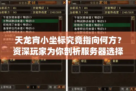 天龙宵小坐标究竟指向何方？资深玩家为你剖析服务器选择的终极门道