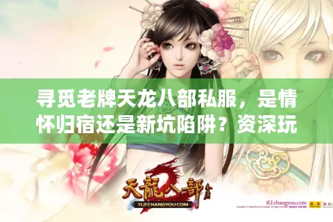 寻觅老牌天龙八部私服，是情怀归宿还是新坑陷阱？资深玩家的硬核避坑指南