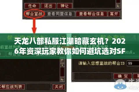 天龙八部私服江湖暗藏玄机？2026年资深玩家教你如何避坑选对SF