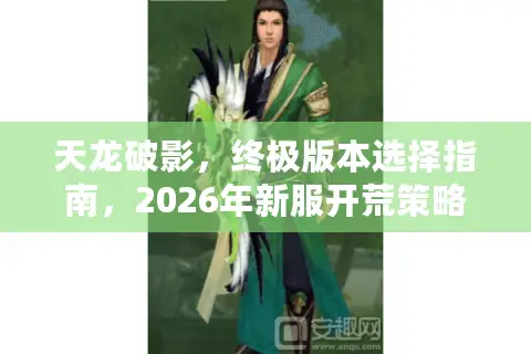 天龙破影，终极版本选择指南，2026年新服开荒策略与资源获取全解