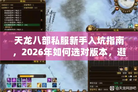 天龙八部私服新手入坑指南，2026年如何选对版本，避开深坑快速成神？