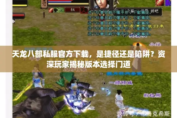 天龙八部私服官方下载，是捷径还是陷阱？资深玩家揭秘版本选择门道