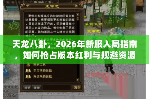 天龙八卦，2026年新服入局指南，如何抢占版本红利与规避资源陷阱？