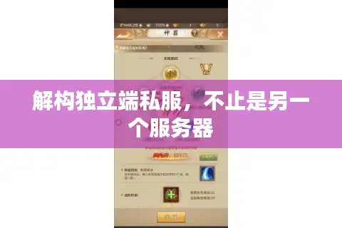 解构独立端私服,不止是另一个服务器 解构独立端私服,不止是另一个服务器
