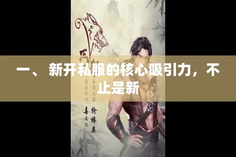 一、 新开私服的核心吸引力，不止是新