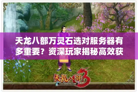 天龙八部万灵石选对服务器有多重要？资深玩家揭秘高效获取与版本适配全攻略