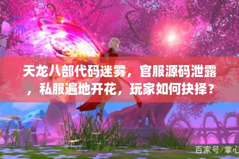 天龙八部代码迷雾，官服源码泄露，私服遍地开花，玩家如何抉择？