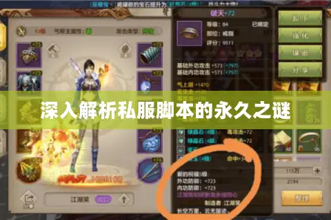 深入解析私服脚本的永久之谜