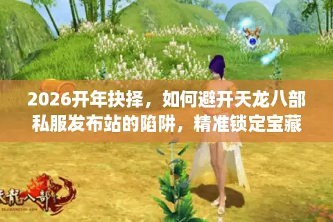 2026开年抉择，如何避开天龙八部私服发布站的陷阱，精准锁定宝藏服？