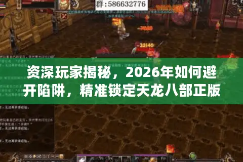 资深玩家揭秘，2026年如何避开陷阱，精准锁定天龙八部正版手游资源？