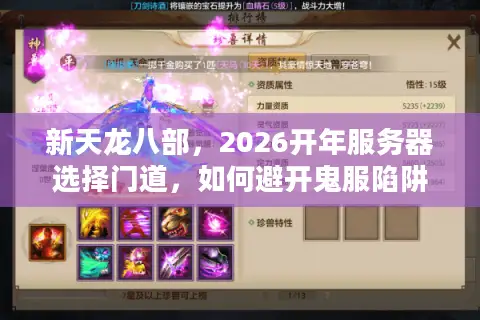 新天龙八部，2026开年服务器选择门道，如何避开鬼服陷阱锁定天命版本？