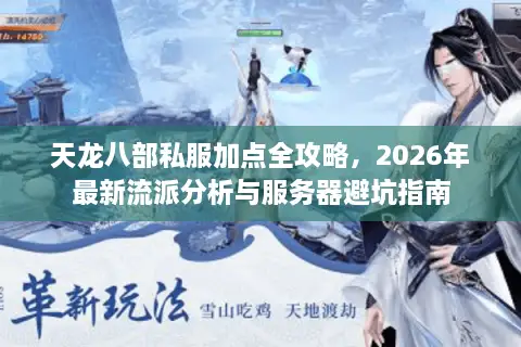 天龙八部私服加点全攻略，2026年最新流派分析与服务器避坑指南