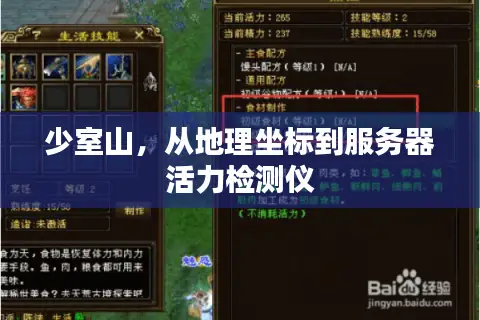 少室山，从地理坐标到服务器活力检测仪