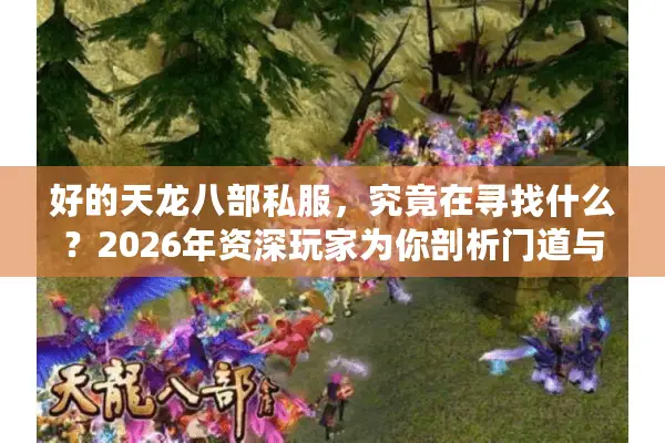 好的天龙八部私服，究竟在寻找什么？2026年资深玩家为你剖析门道与陷阱