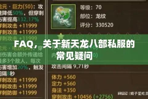 FAQ，关于新天龙八部私服的常见疑问