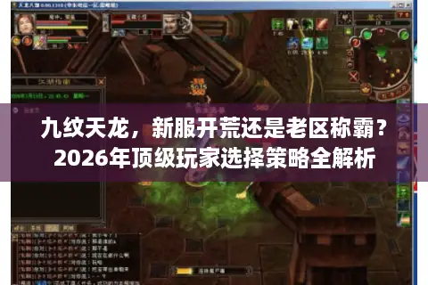 九纹天龙，新服开荒还是老区称霸？2026年顶级玩家选择策略全解析