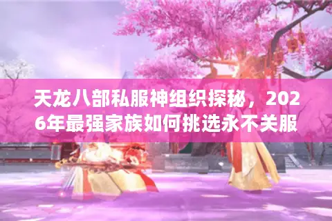 天龙八部私服神组织探秘，2026年最强家族如何挑选永不关服的版本？