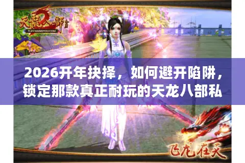 2026开年抉择，如何避开陷阱，锁定那款真正耐玩的天龙八部私服？