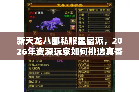 新天龙八部私服星宿派，2026年资深玩家如何挑选真香服？揭秘避坑门道